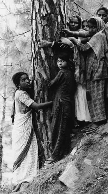 Movimiento Chipko; Mujeres y niñas abrazando un árbol (1987)