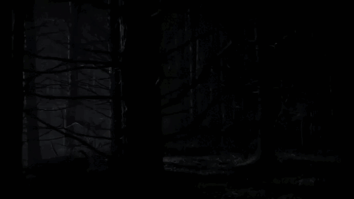 The Witch: A New England Folktale (Robert Eggers, 2015)